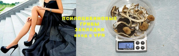 скорость Абаза