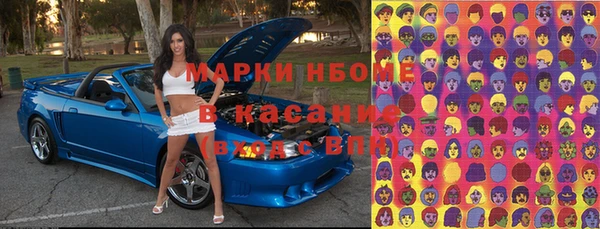 PSILOCYBIN Алзамай