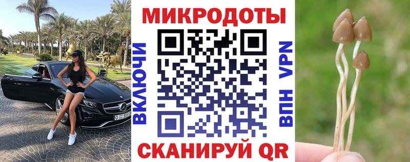 Псилоцибиновые грибы прущие грибы Тында