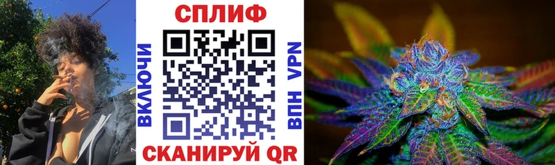 где купить   Тында  Канабис план 